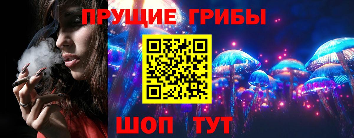 закладка  Вход с VPN  Псилоцибиновые грибы Cubensis  Баксан  Галлюциногенные грибы ЛСД 